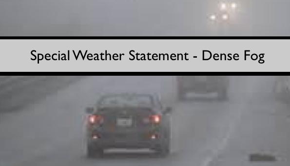 Special Weather Statement - Dense Fog