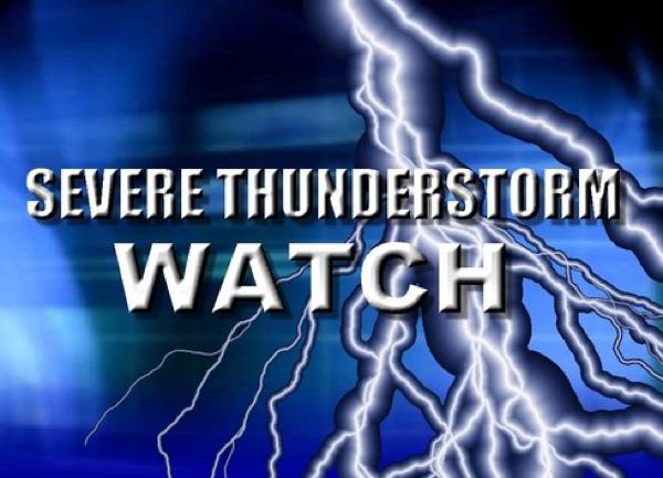 Severe Thunderstorm Watch in Effect for Stoddard County