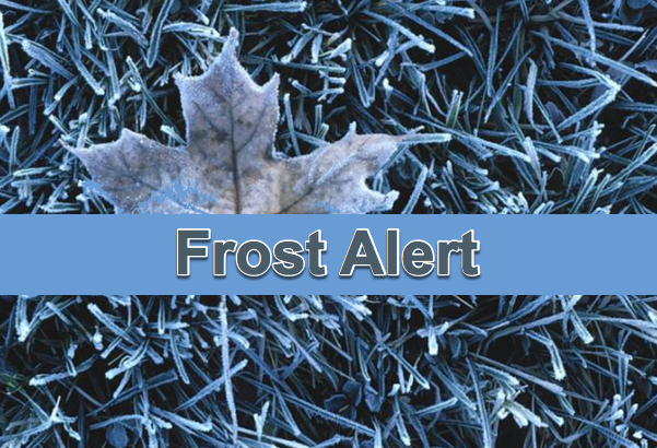Widespread FROST Possible on Wednesday