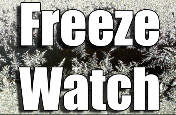 Freeze Watch Issued for Thursday Night for Stoddard County