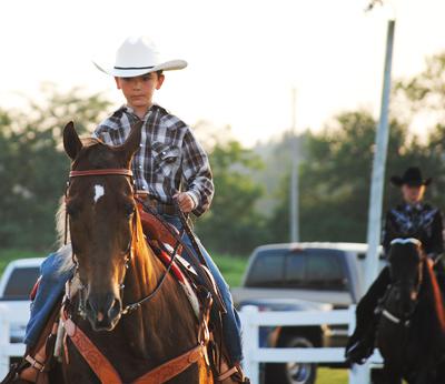 Racking Horse Lovers Come To Town