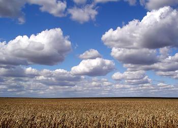 Floods Mean Big Losses For MO Agriculture