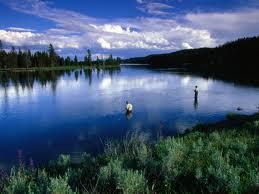 Heat Wave Continues To Affect Anglers