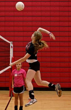 Lady 'Cats Hope To Return To Spotlight