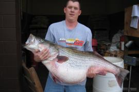 First-Time Striper Angler Sets State Record