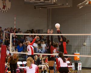 DHS Volleyball Picks Up First 'W' Over Rebels