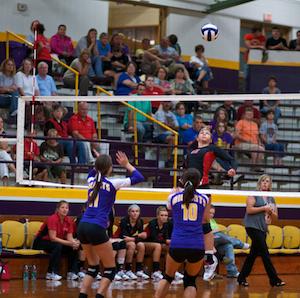 Lady 'Cats Split Contest With Bloomfield
