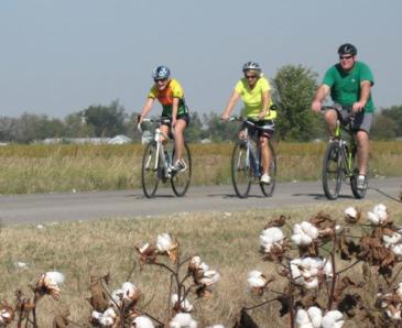 Cotton Ramble; A Perfect Day For A Ride