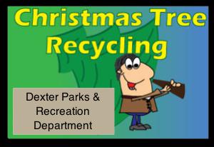 Recycle Your Christmas Tree