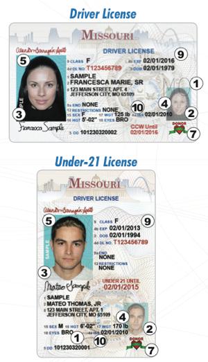 2013 Driver License Will Get a Facelift