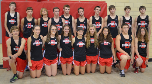 DHS Cross Country Team