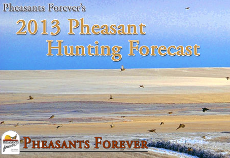 Pheasant Forecast for Missouri