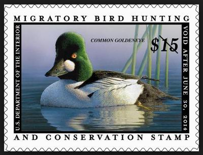 Duck Stamps Now Available Online