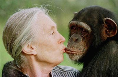 Jane Goodall to Speak at UMC-Columbia