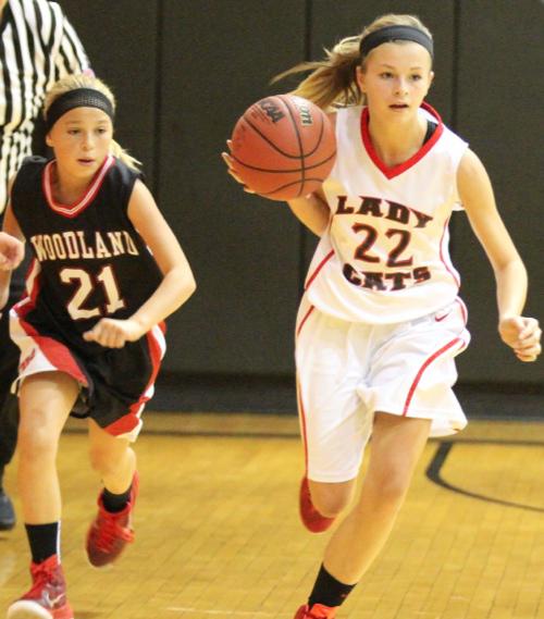 DMS 7th Grade Lady 'Cats Defeat the Cardinals