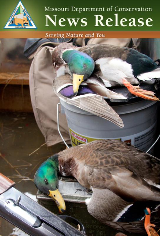 Missouri Waterfowl Hunting Forecast