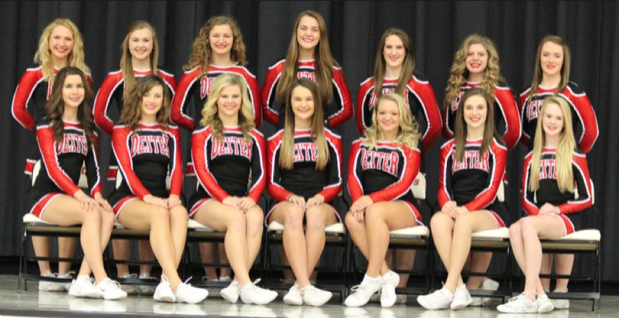 2014-2015 DHS Basketball Cheer Squad Announced