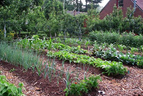 Stoddard Couty Garden Symposium Workshop to be Held