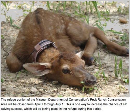 Refuge Part of MDC's Peck Ranch to Close Temporarily