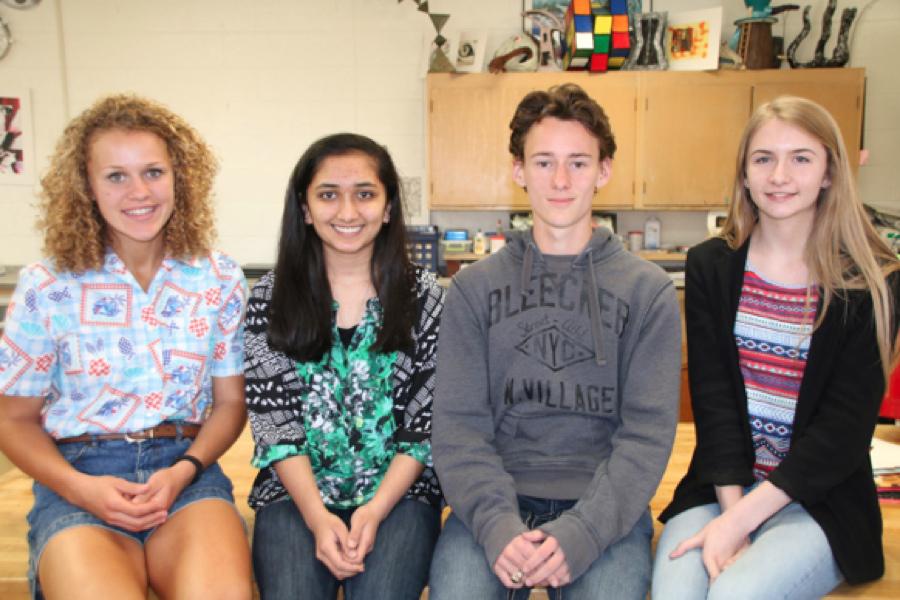 DHS Art Students Earn Top Honors