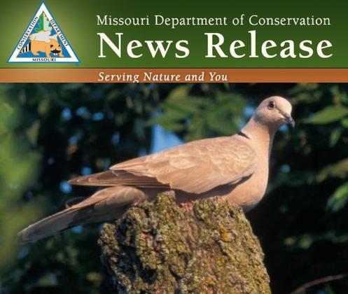 Early Migratory Bird Hunting Dates Announced