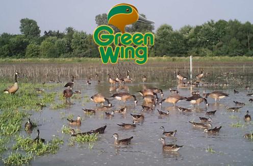 7th Annual Greenwing Event Slated for July 25th
