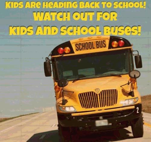 School Bus Safety - Time to Head Back to School