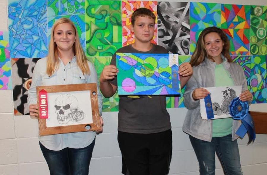 DMS Students Win Awards at Recent Fairs