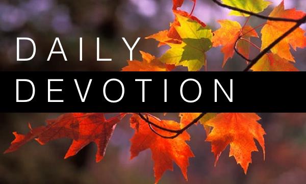 Thursday Daily Devotional - Strength Comes with Waiting