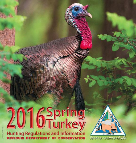 Spring Turkey Season Looks Good for Hunters