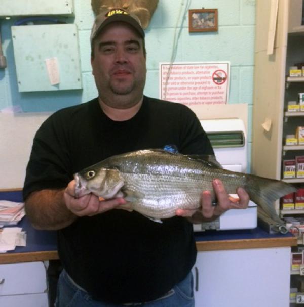 Cape Fair Angler Catches State-Record White Bass