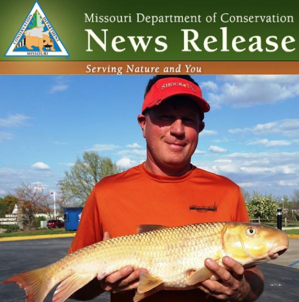 Angler Catches State-Record River Redhorse