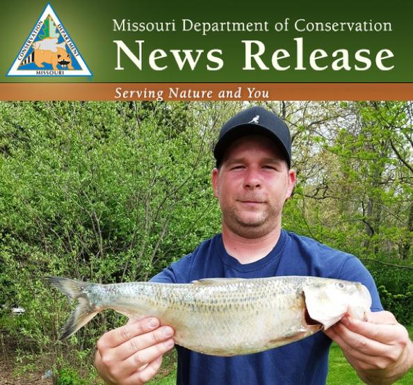 Angler Catches State-Record Skipjack Herring