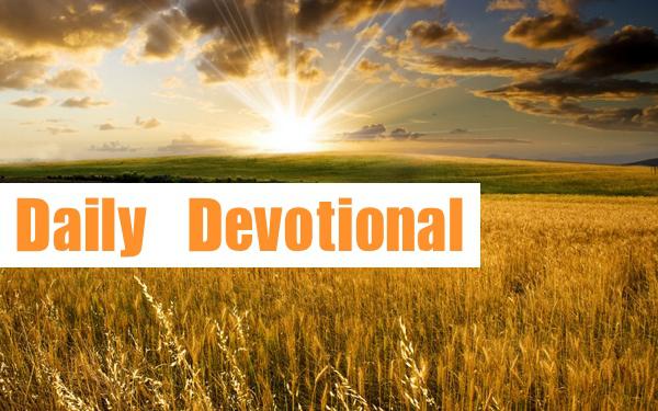 Daily Devotional - Discerning God's Goodness