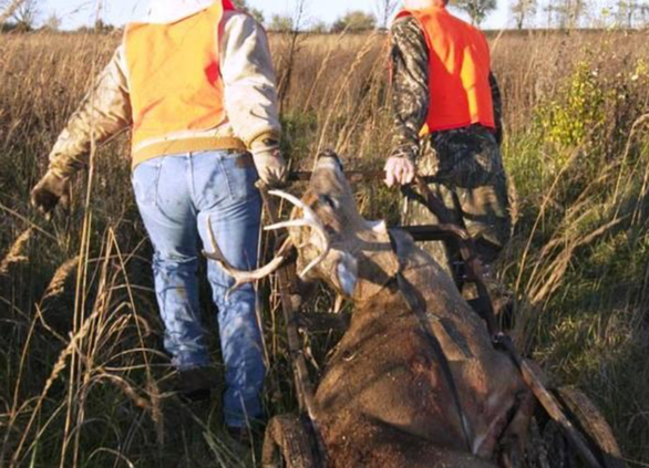 MDC Reports November Firearms Deer Harvest Ends with 185,000 Plus