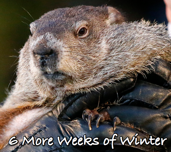 It's Official Six More Weeks of Winter!