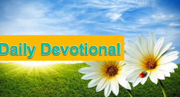 Daily Devotional, Friday, April 14, 2017 - What Really Happened at Calvary