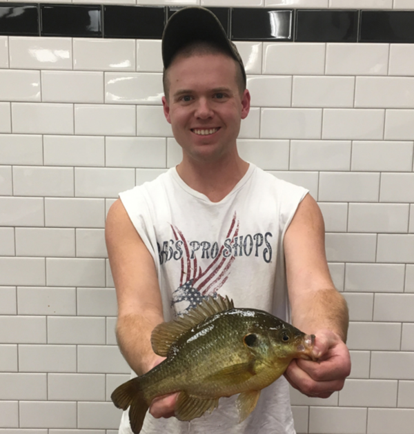 Angler Catches State-Record Redear Sunfish