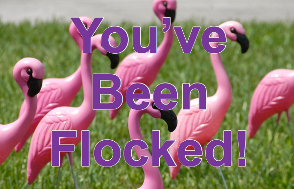 you-ve-been-flocked