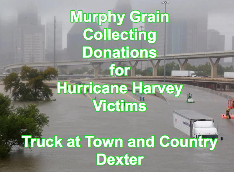 Murphy Grain Collecting Donations at Town & Country, Dexter
