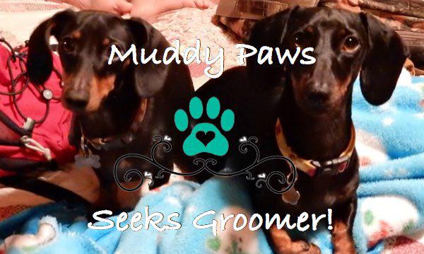 Muddy Paws Looking for Groomer