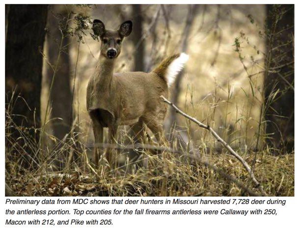 MDC Reports More Than 7,700 Deer Harvest During Antlerless Portion