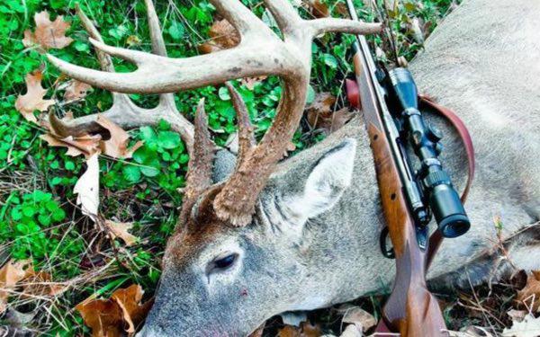 MDC Sets 2018 Deer and Turkey Hunting Dates