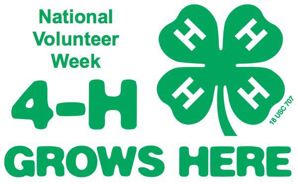 National Volunteer Week Salutes 4-H Volunteers in Stoddard County