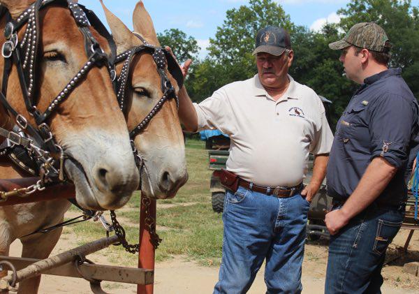 Congressman Jason Smith Visits Moreland Mule Farm in Dexter