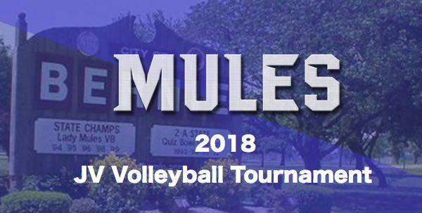 2018 Bernie Junior Varsity Volleyball Tournament