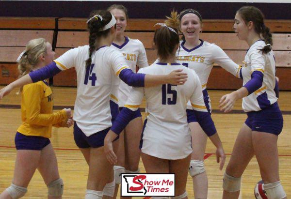 Wildcats Eliminate Malden, Fall to Arcadia Valley in Class 2 HS Volleyball Playoffs