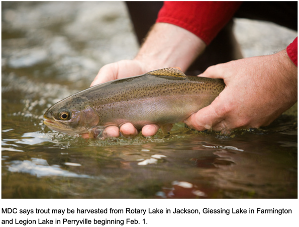 Trout Harvest Begins February 1, 2019