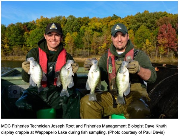 Missouri Conservation Commission Approves Crappie Regulation Change at Wappapello Lake