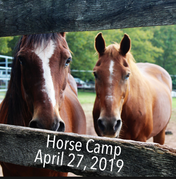 Stoddard County 4-H Horse Camp Set for April 27, 2019